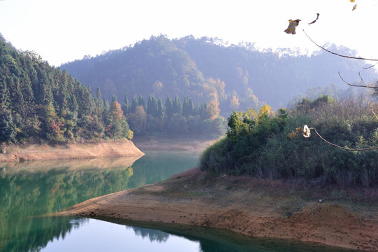 千岛湖 龙川湾 红叶湾 湖泊