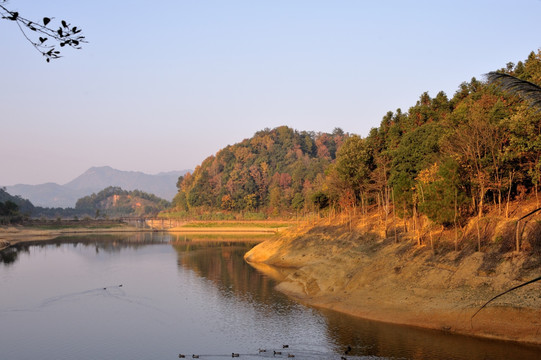 千岛湖 龙川湾 红叶湾 湖泊