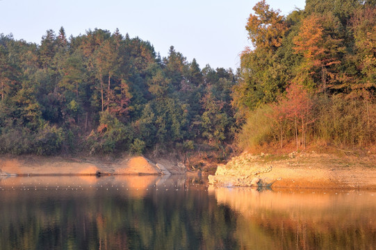 千岛湖龙川湾傍晚