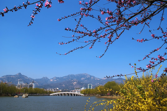 城市园林景观