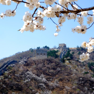 水长城春景