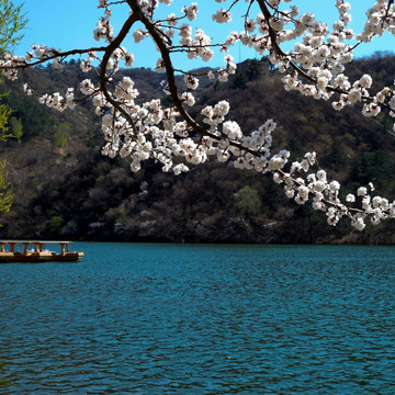 水长城春景