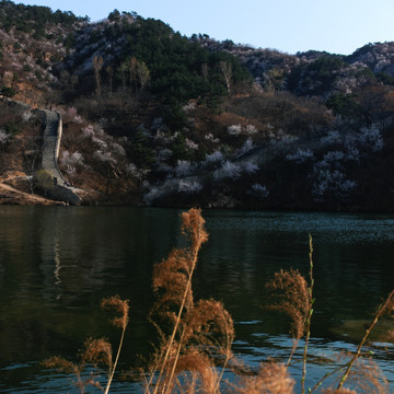 水长城春景