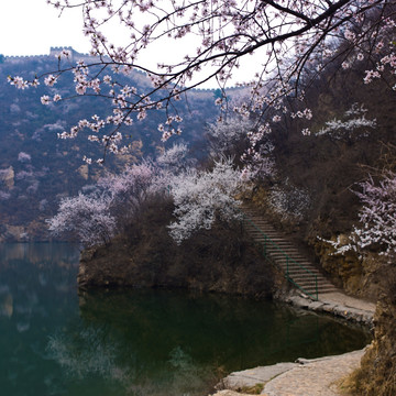 水长城春景