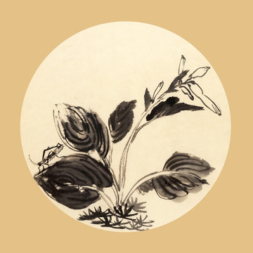 寫意花卉 裝飾畫
