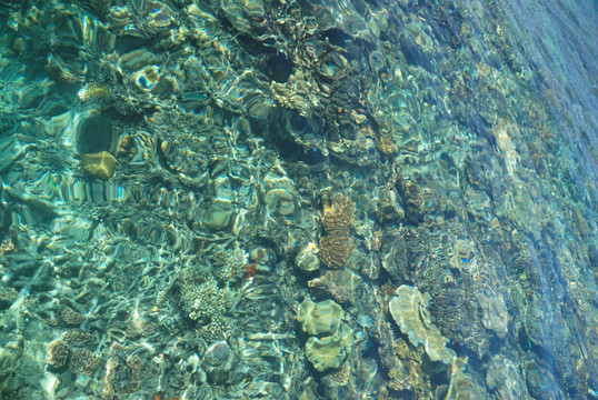 澳大利亚凯恩斯大堡礁