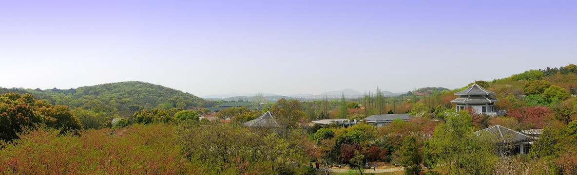 太湖鼋头渚樱花谷全景