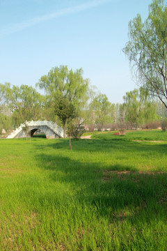 春天的风景