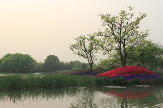 湖泊美景 西溪湿地