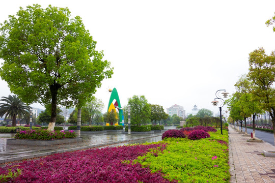 安福广场 城市绿化 春天