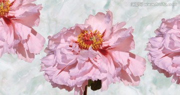 噴墨花片