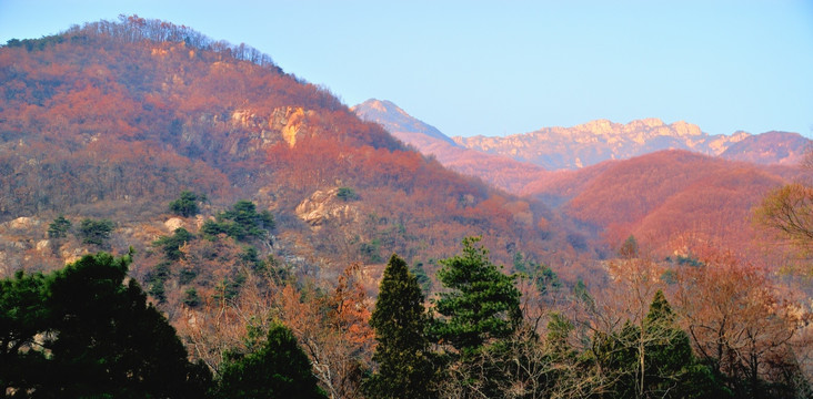 浓郁的大山秋色