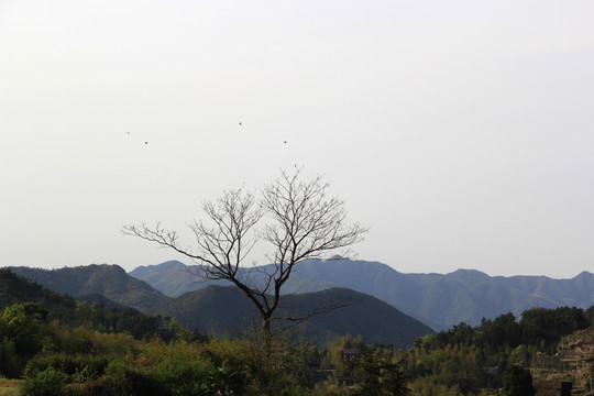 山区风景