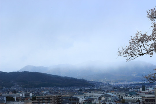 高山云雾