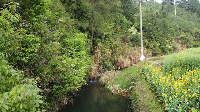 青山绿水