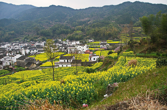 田园山村