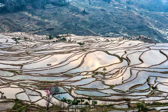 云南红河梯田