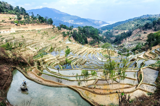 云南红河梯田