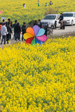 油菜花节上的游人