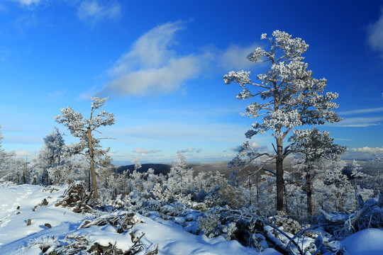 林海雪原