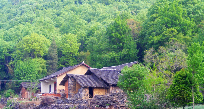 翠绿的山林里有个静静的山村