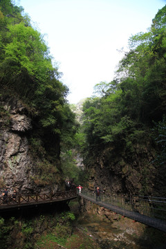 溪流 河流 峡谷 山