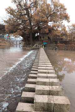 泰顺廊桥 北涧桥町步