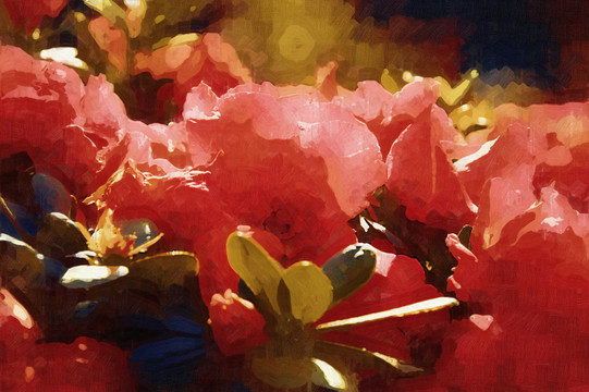 油畫(huà) 花