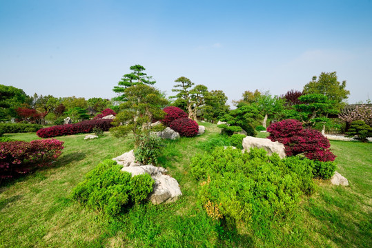 安徽歙县鲍家花园