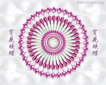 穿花蛺蝶
