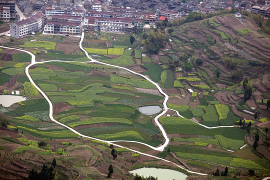 仙居田园