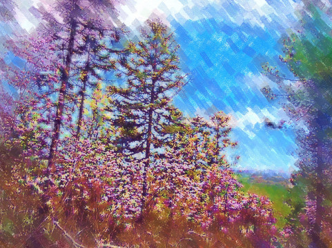香格里拉