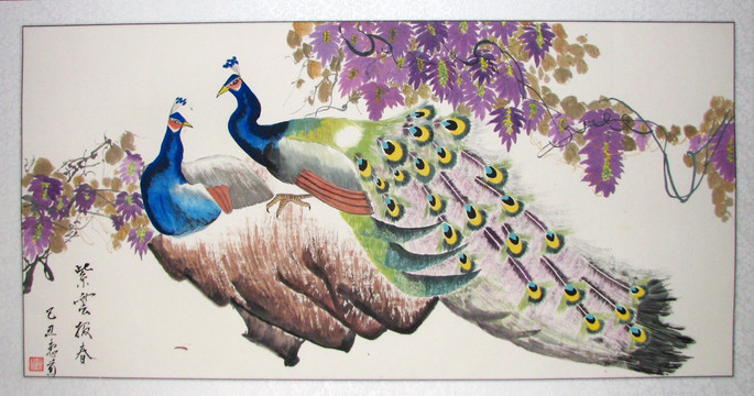 孔雀 紫荊