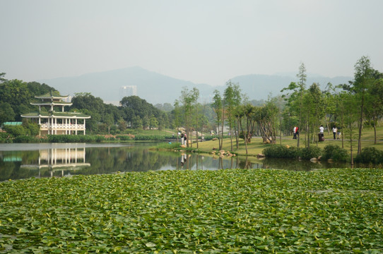 湖面景观