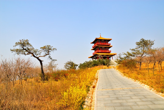 仿古楼阁建筑