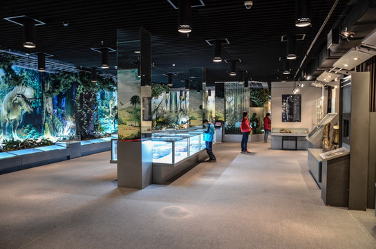 中国地质博物馆科普展厅
