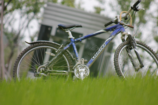 草坪上的自行车