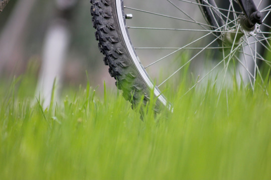 草丛中的自行车前轮