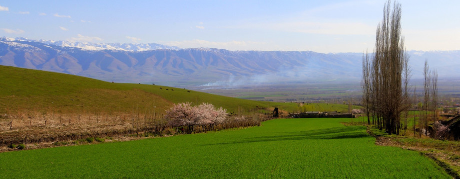 田野（田原）