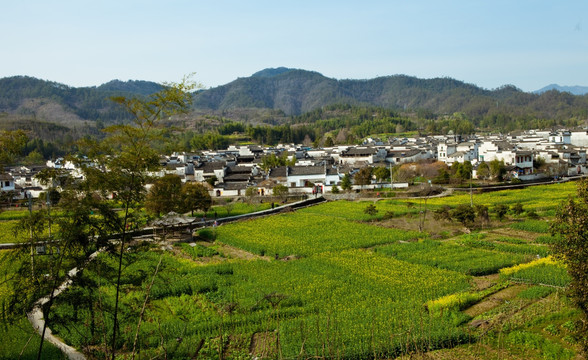 西递全景