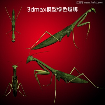 3dmax模型绿色螳螂