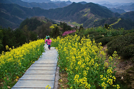 女孩游山