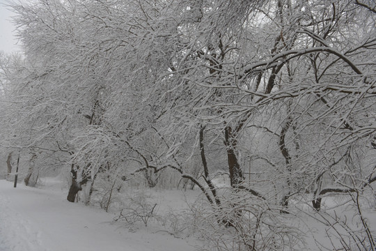 雪挂