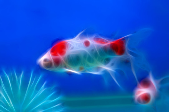 抽象畫(huà)