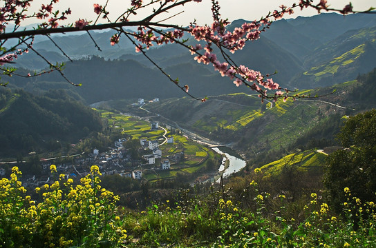 桃花山村