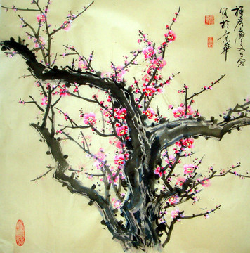國(guó)畫梅花
