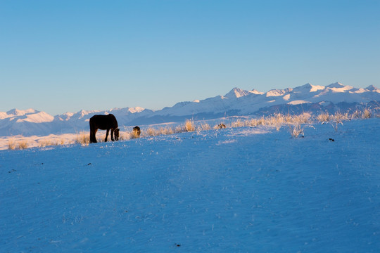 雪山