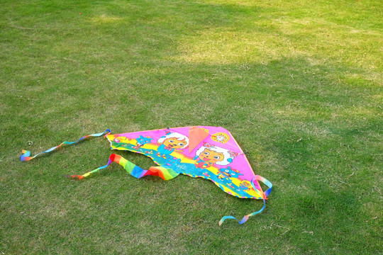 降落在草地上的风筝