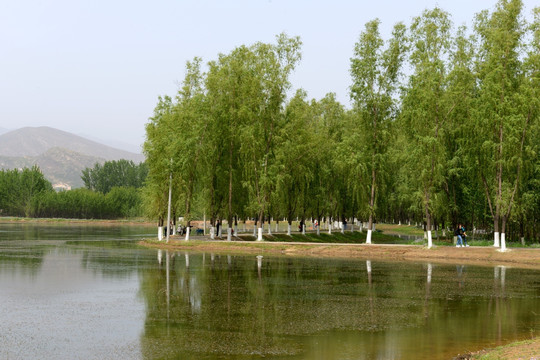 北京长沟湿地公园