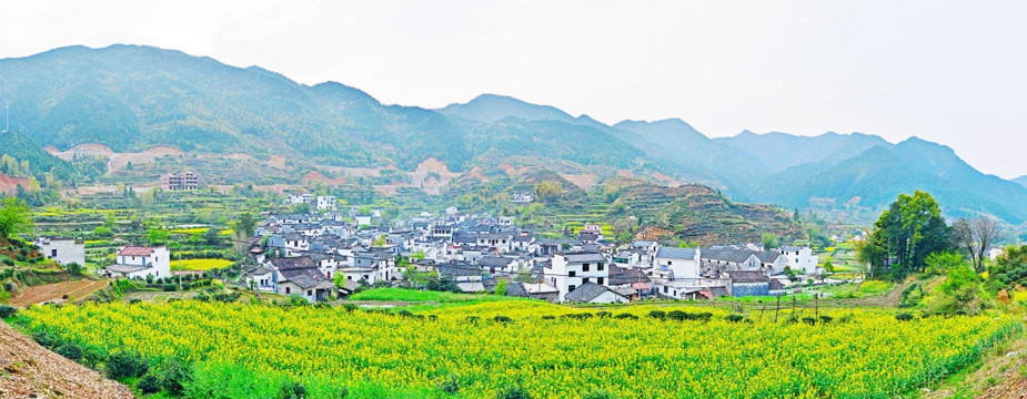 婺源上村油菜田园村落全景